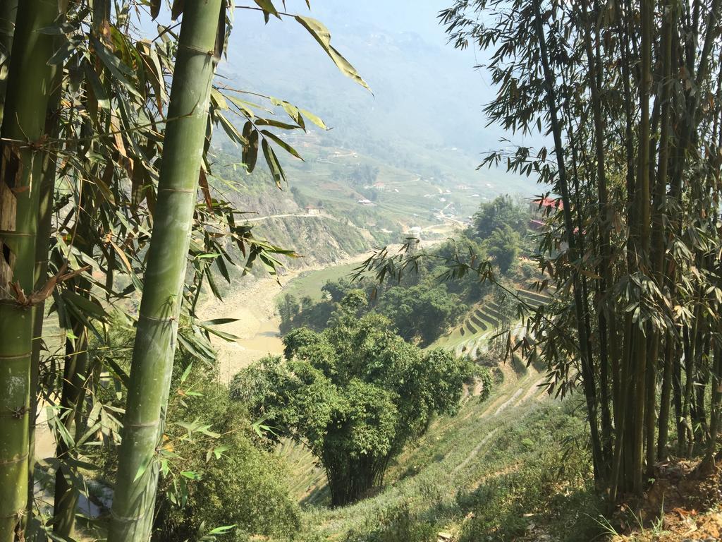 Freedom Homestay & Trekking Sapa Exterior foto