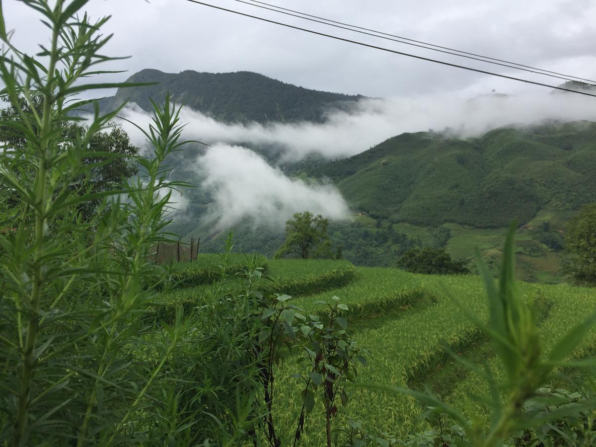 Freedom Homestay & Trekking Sapa Exterior foto